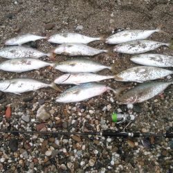 ジャイアントドックX